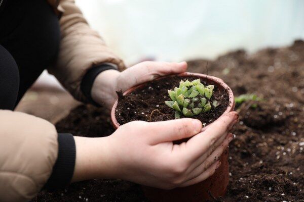 A W682546 05 600X400