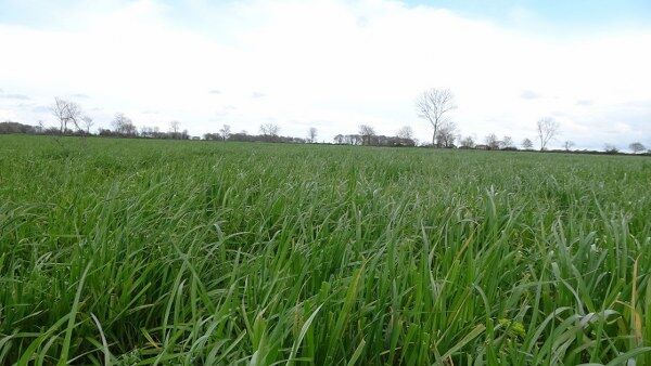 A W682777 02 600X338