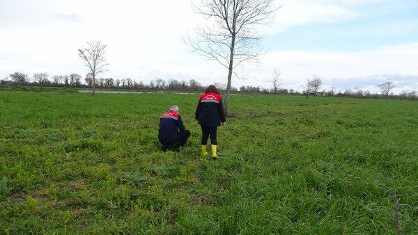 A W682777 03 600X338