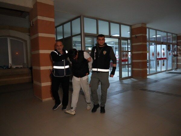 A W683182 06 600X450