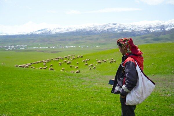 A W683598 01 600X400