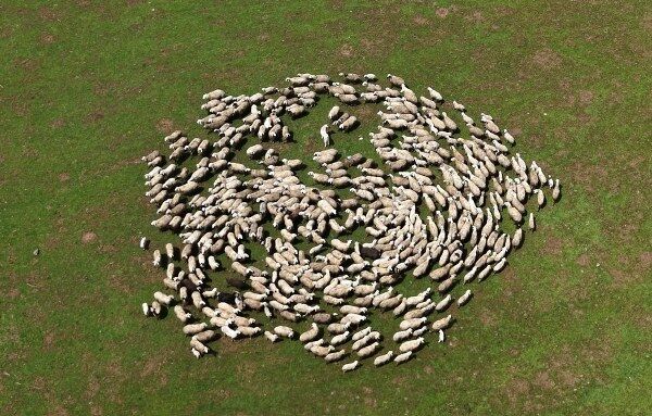 A W683598 10 600X383