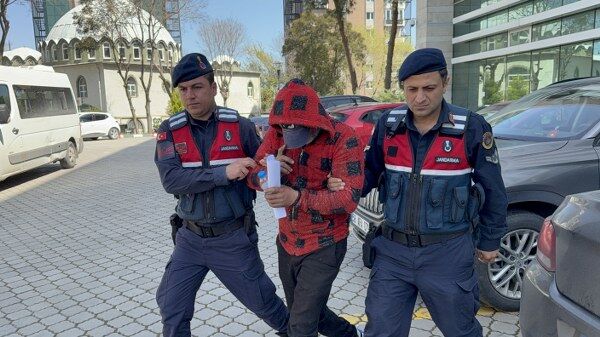 A W684909 01 600X337