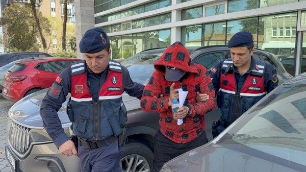 A W684909 02 600X337