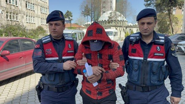 A W684909 03 600X337