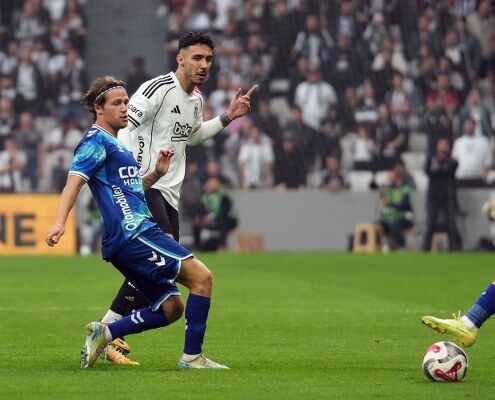 A W686076 02 495X400