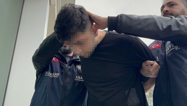 A W686267 03 600X342