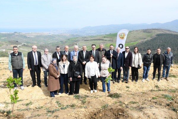 A W687137 03 600X400