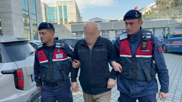 A W687371 02 600X337