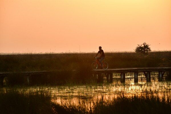 A W687536 01 600X400