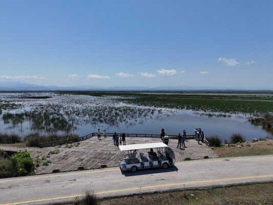 A W687536 06 533X400