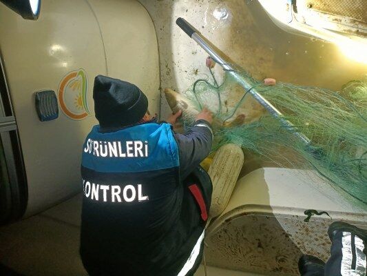 A W687975 05 533X400