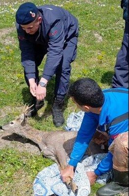 A W688000 01 263X400