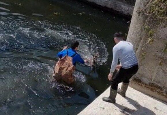 A W688000 03 579X400