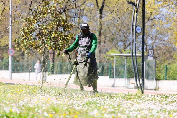 A W688121 04 600X400