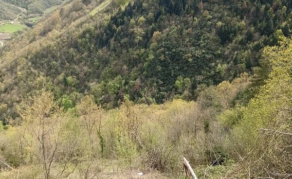 A W688419 04 600X368