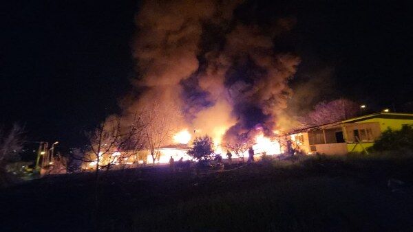 A W688589 02 600X338