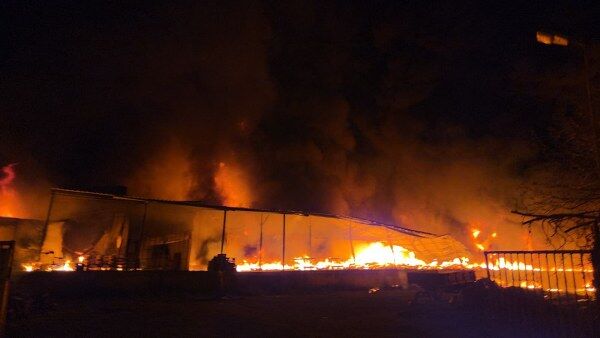 A W688589 03 600X338