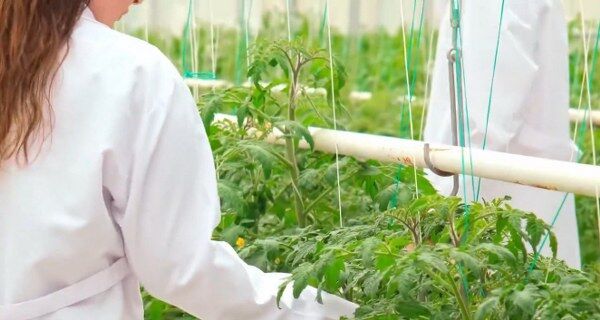 A W688773 02 600X320