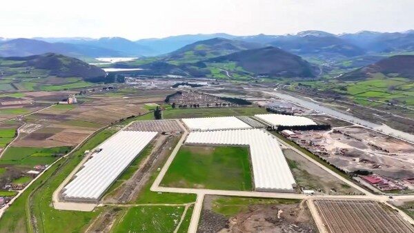 A W688773 03 600X338