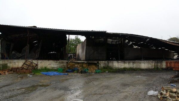 A W688829 06 600X338