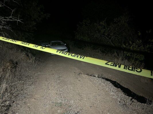 A W688846 01 533X400