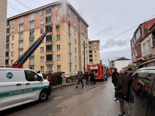 A W690057 01 533X400