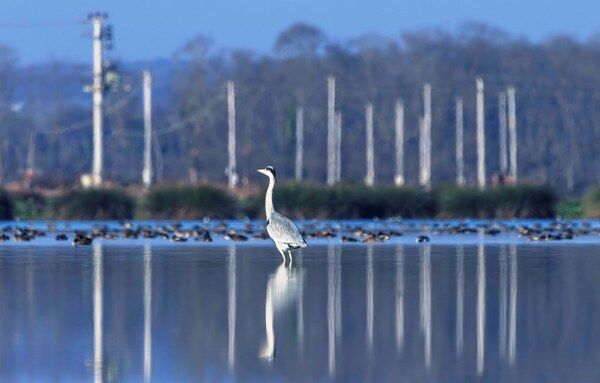 A W690545 03 600X383