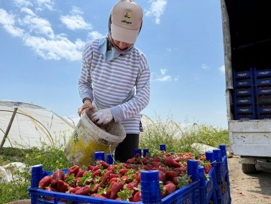 A W691028 04 533X400