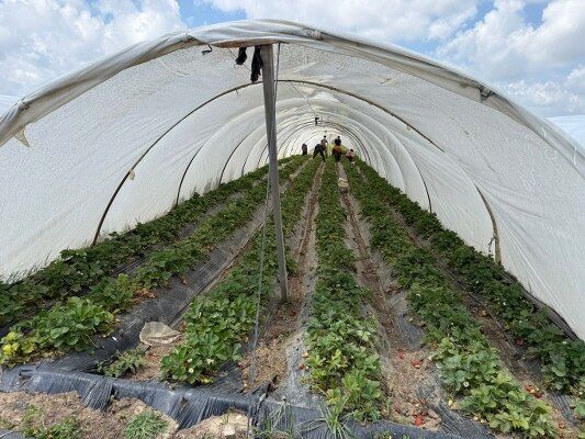 A W691028 06 533X400