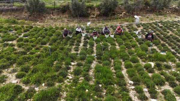 A W691072 01 600X337