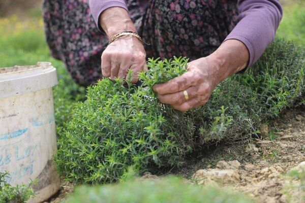 A W691072 03 600X400