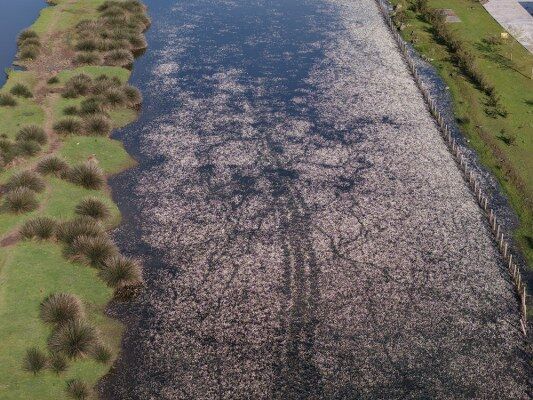 A W691103 01 533X400