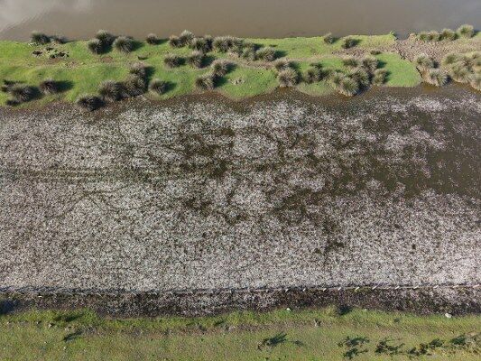 A W691103 02 533X400