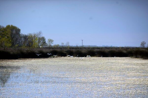 A W691103 08 600X400