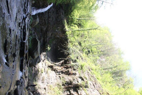 A W693421 02 600X400