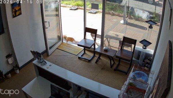 K E D I N I N D U K K A N D A K I K U S L A R A S A L D I R D I G I A 1263047 375936 600X342