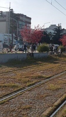 Whatsapp Image 2026 04 16 At 17.30.40 (1) 225X400