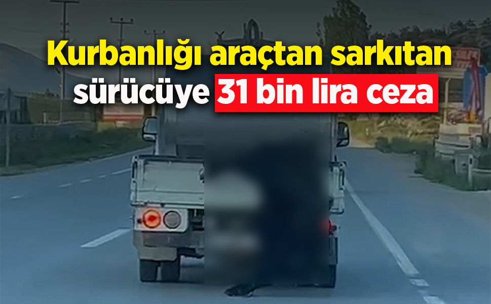 Kurbanlığı araçtan sarkıtan sürücüye 31 bin lira ceza