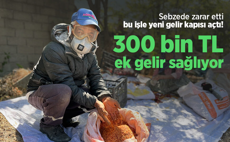 Sebzede zarar etti, bu işle yeni gelir kapısı açtı! 300 bin TL ek gelir sağlıyor