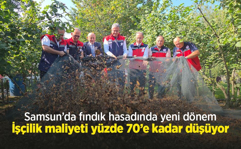 Samsun’da fındık hasadında yeni dönem: İşçilik maliyeti yüzde 70’e kadar düşüyor