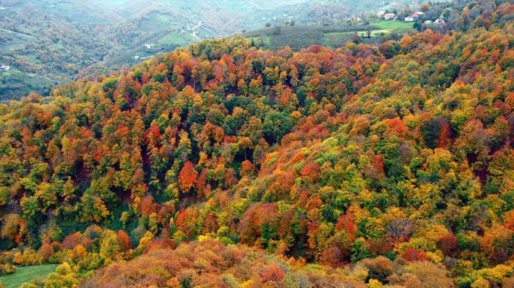 Nebiyan Dağı.jpg