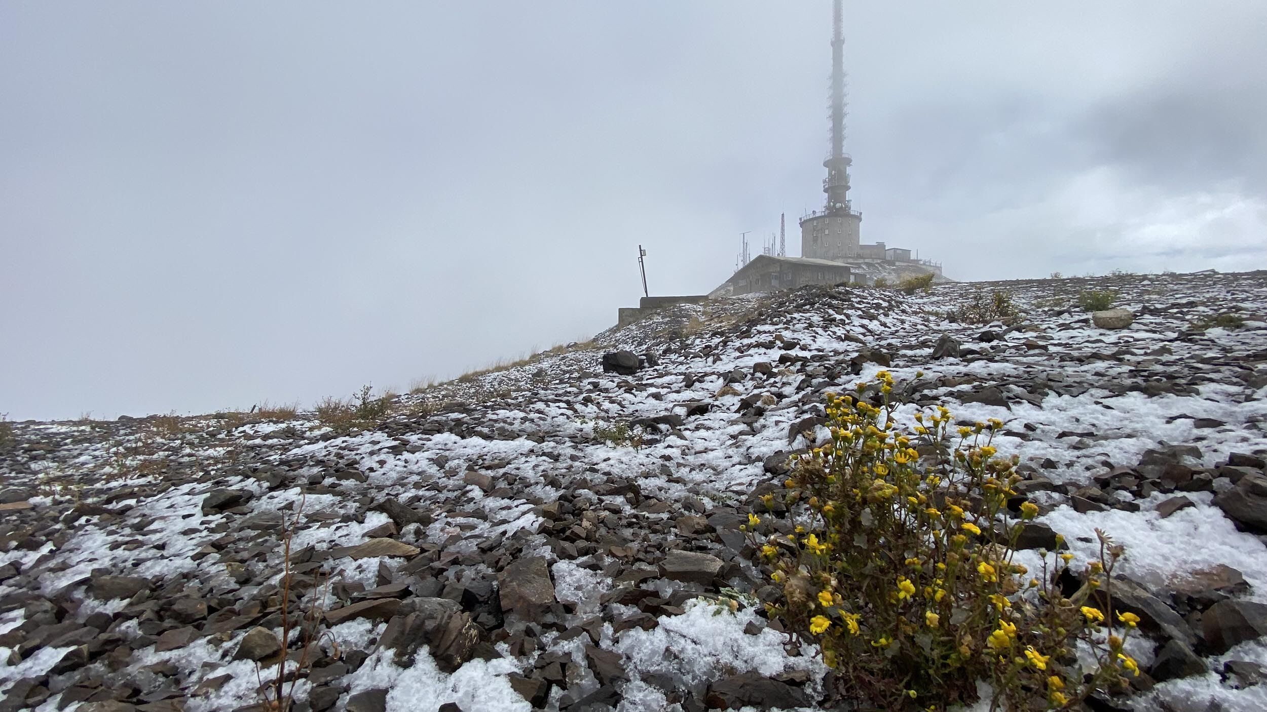 PALANDOKENE-KAR-YAGDI_1529002_454922.jpg