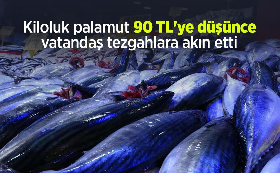 Kiloluk palamut 90 TL'ye düşünce vatandaş tezgahlara akın etti