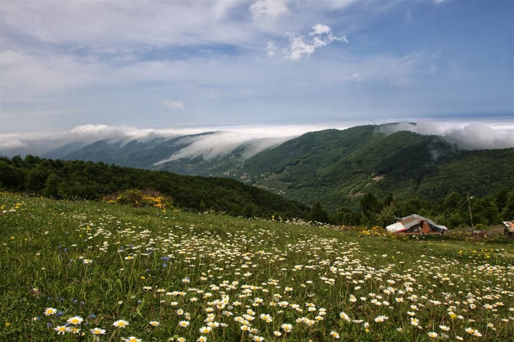 Samsun Kocadağ.png