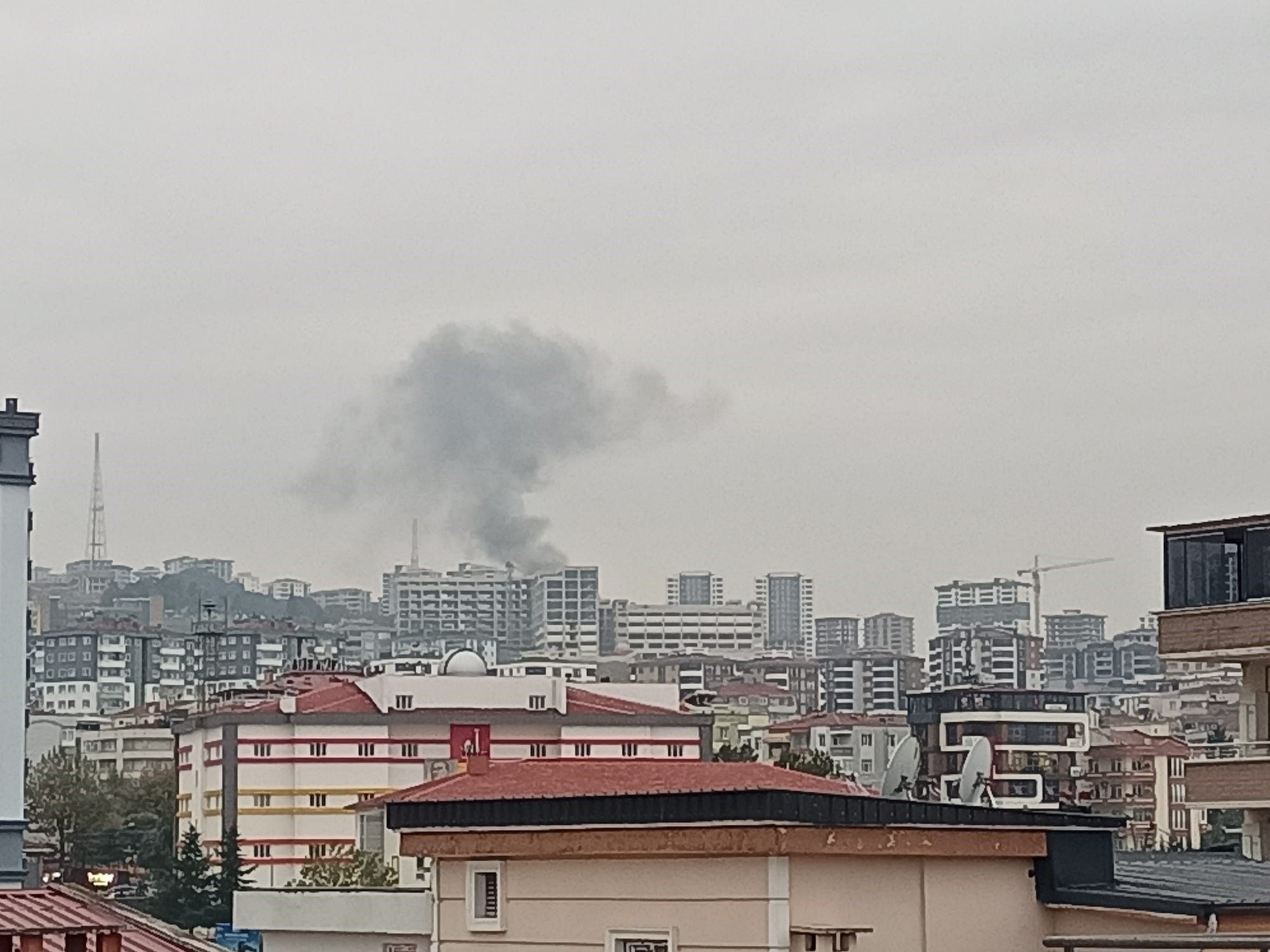 A W821413 01