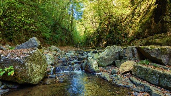 KABACEVIZ-SELALESI’NDE-SONBAHAR-MANZARAS_1575234_468511_600x338.jpg